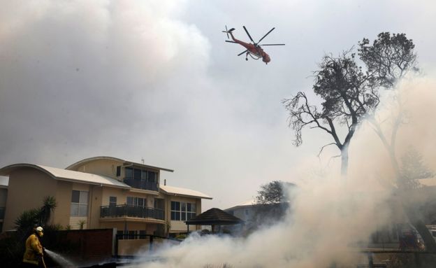 Sydney's Business Community Must Take Immediate Action Over Bushfires